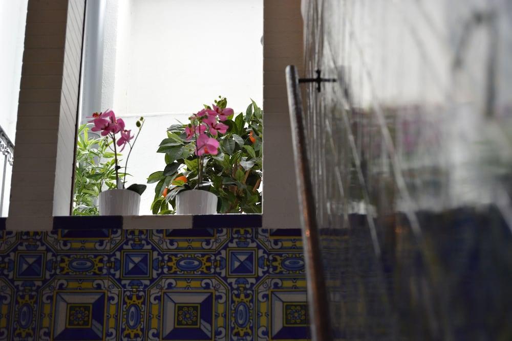Pension Giraldilla Σεβίλλη Εξωτερικό φωτογραφία
